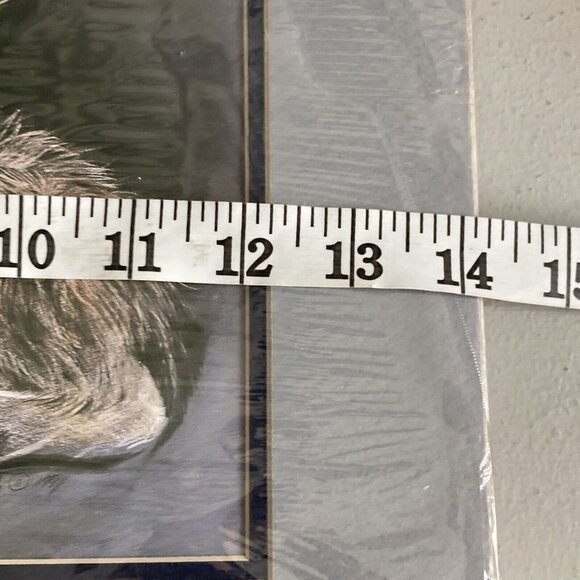 Carole Bourdo "Pile Of Pups" Vtg Signed In Plate Native American Wolf LG Print - Picture 7 of 9